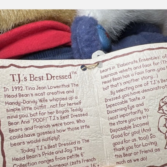 Boyds Bear 904021 Plushed Stuffed 14" Karina Burrbruin with Blue Coat and Hood - Picture 11 of 12